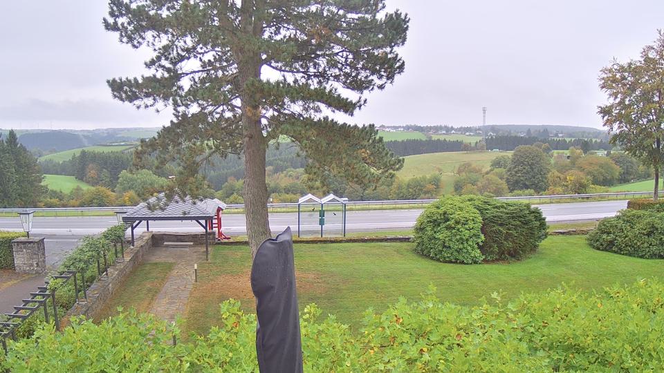 live webcam